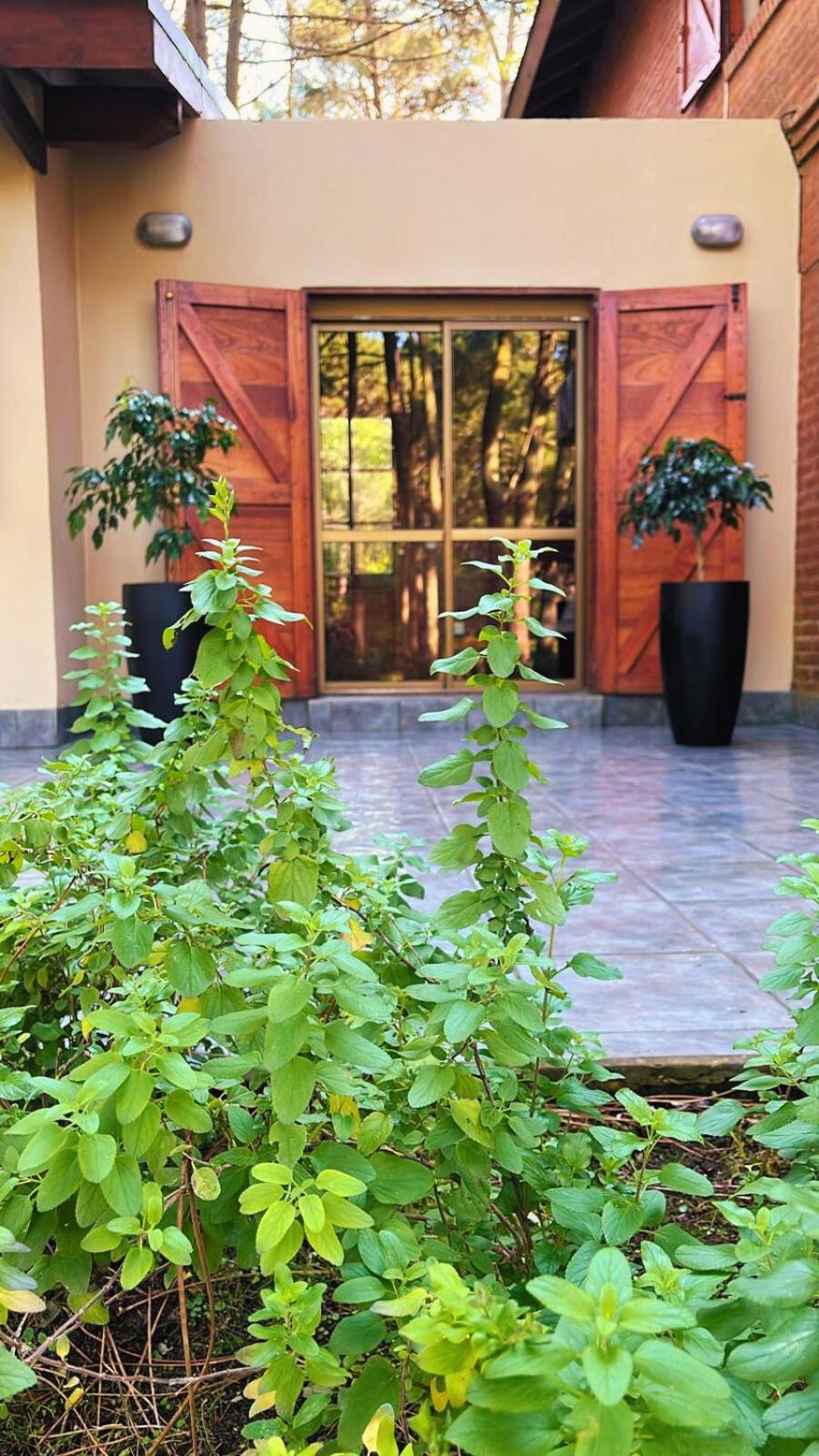 Sonidos Del Bosque Apart otel Mar de Las Pampas Dış mekan fotoğraf
