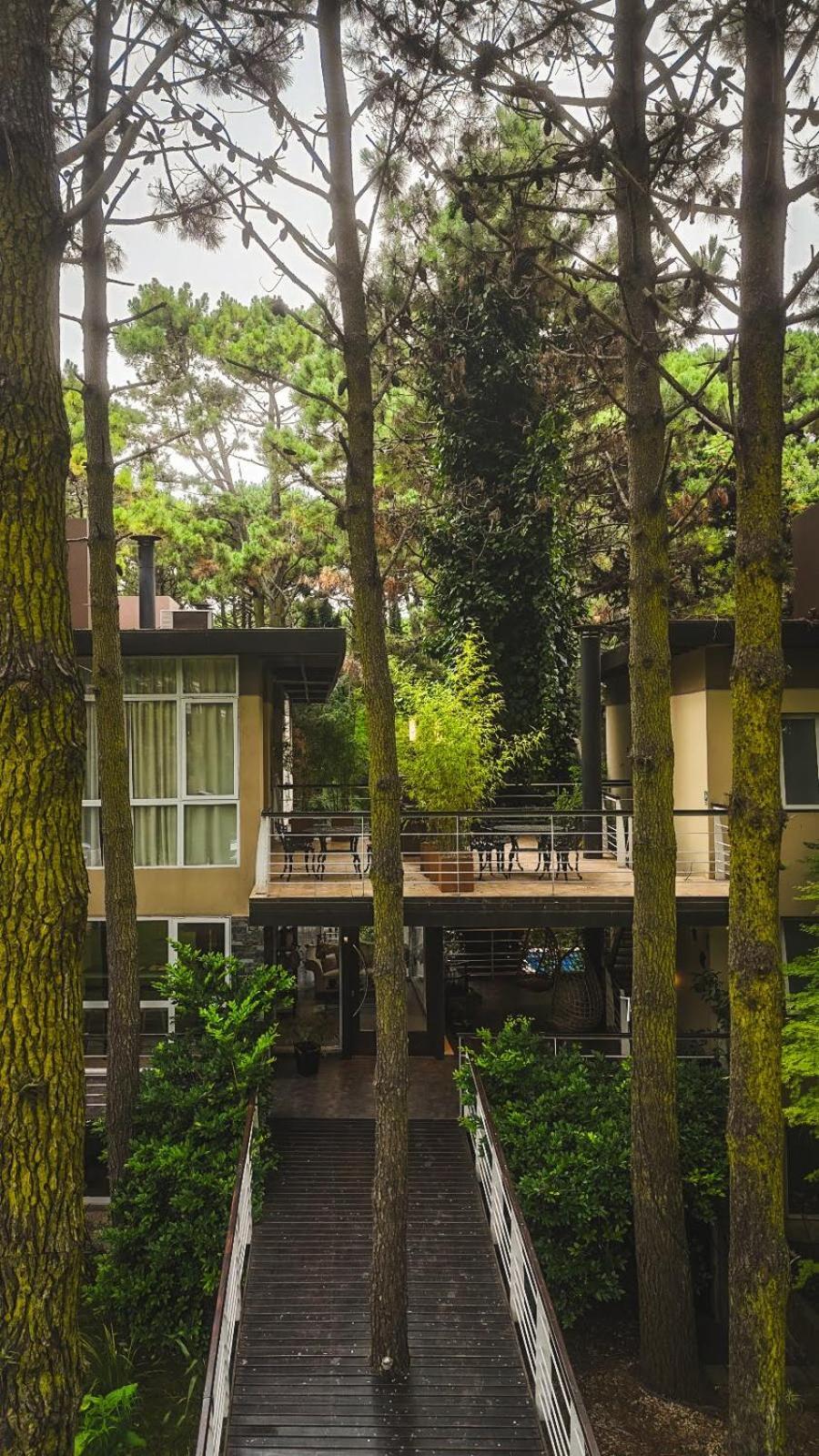 Sonidos Del Bosque Apart otel Mar de Las Pampas Dış mekan fotoğraf